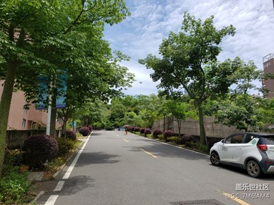 【盛夏光年】夏