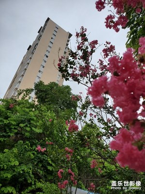 【盛夏光年】+盛夏小区