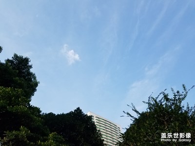 【盛夏光年】+夏日风景