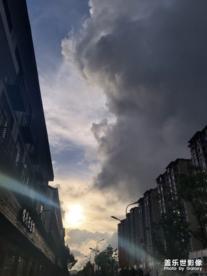 这两天真的nie