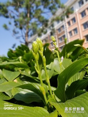 随手拍