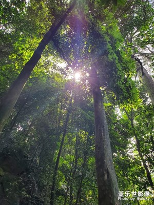 缙云山