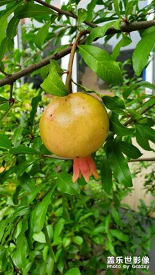 闲暇随拍