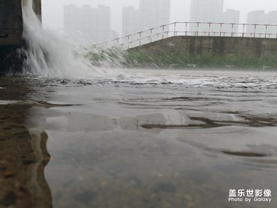 雨