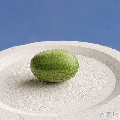 西瓜