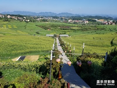 八卦园