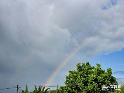 今日幸运