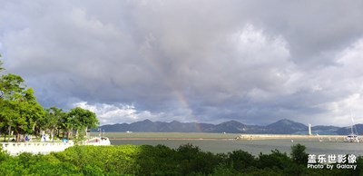 遥望香港