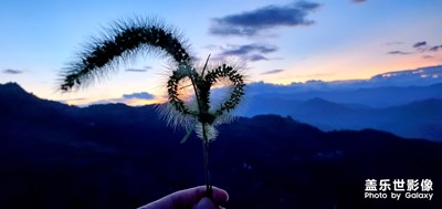 七夕快乐