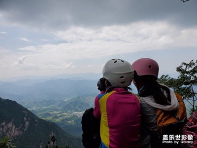登财狗狼尖