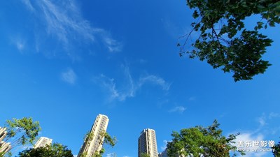 雨后天晴 8月11日