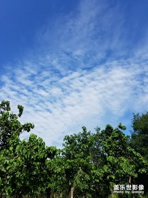 雨后晴天