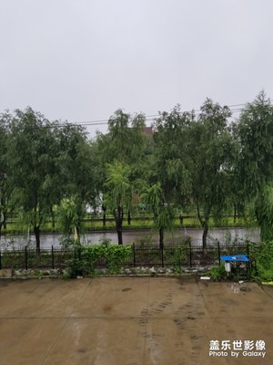 长春秋雨，秋天到了，天气凉了。。。。。。。。。。。。。。