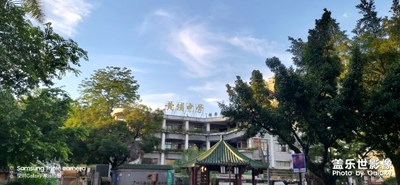 对自己母校的怀念