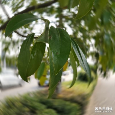 下班了还在装柜