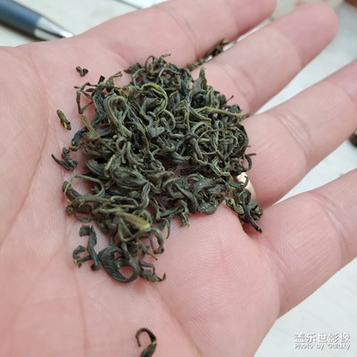 懂茶叶的吗