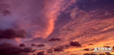 逛公园突然抬头看到了