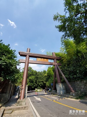 龙井村