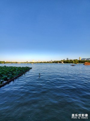 【最夏天】+夏日随拍