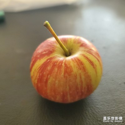办公室随拍