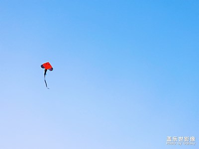 风筝之都——【潍坊】