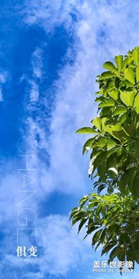 俱变  |  变化的不仅是天气还有心情（补发）
