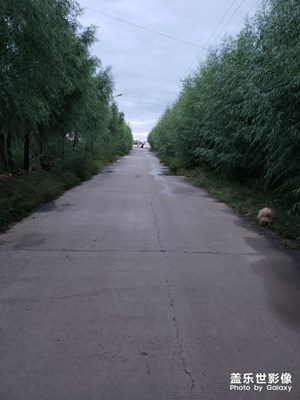老家环境