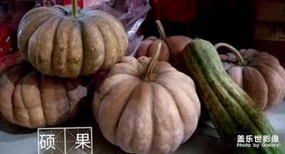劳动果实之硕果
