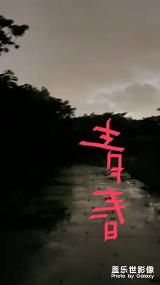 你好，青春