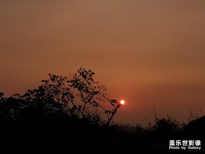 夕阳无限好