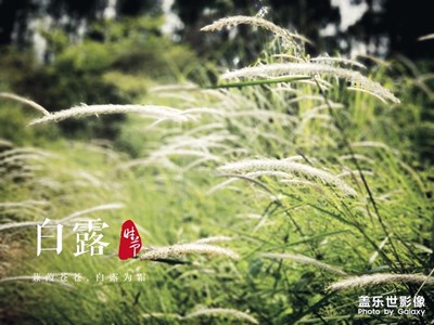 白露