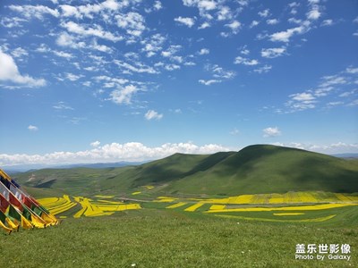 美丽的甘南草原