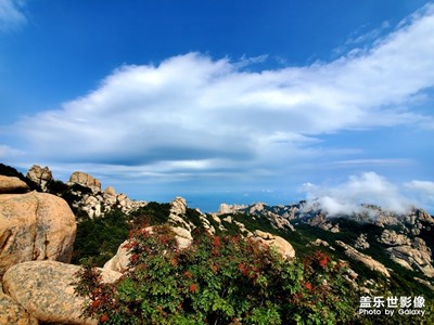 【团圆节】+海中仙山