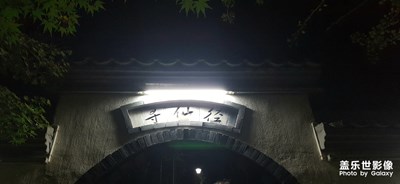 有神仙
