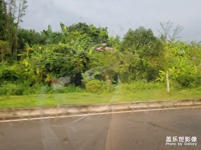 三星s7EDGE拍照效果风景照片