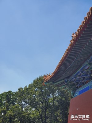 南京游