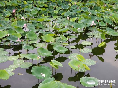 青岛印象