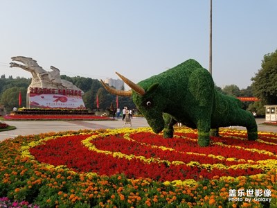 【欢度十一】+游园