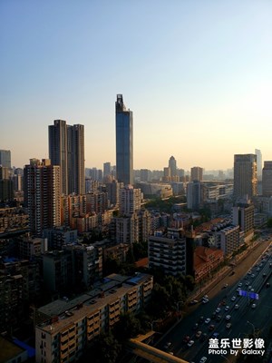 黄昏下的城市森林