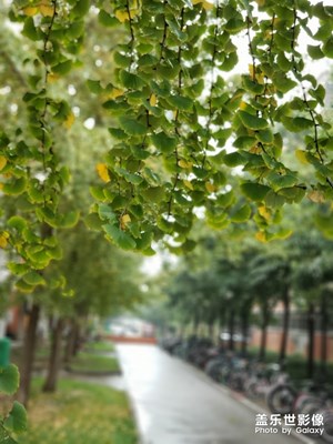 下雨后