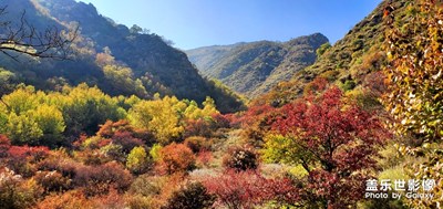 秋景正当时