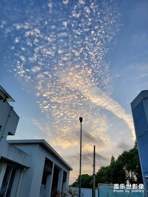 s10+街拍