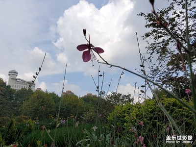 【上下班随想】+目及的风景