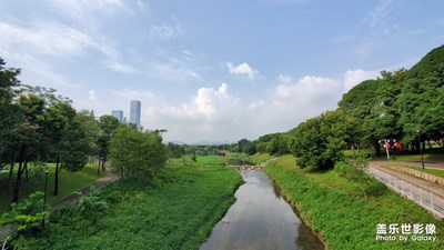 随拍