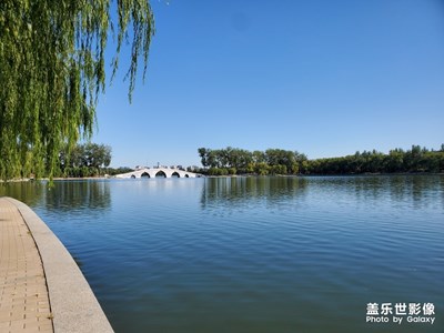 雨过天晴，工作日的玉渊潭公园。我只想说这两块门票太值啦。