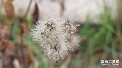 初秋随手记