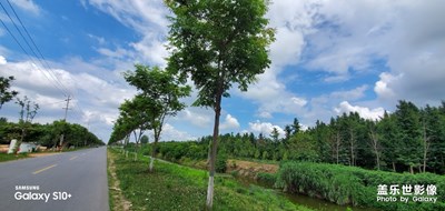 盈盈一水间，佳景观历历 。