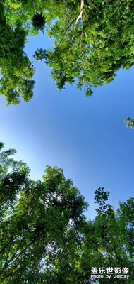 蓝蓝的天空绿绿的草地 慵懒舒服的早上