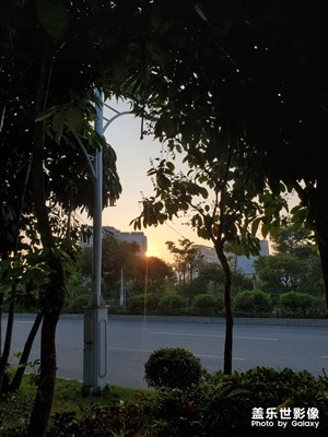 【瑰丽时分】+ 早晨宝安