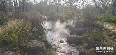 上海市奉贤区，不太会拍照